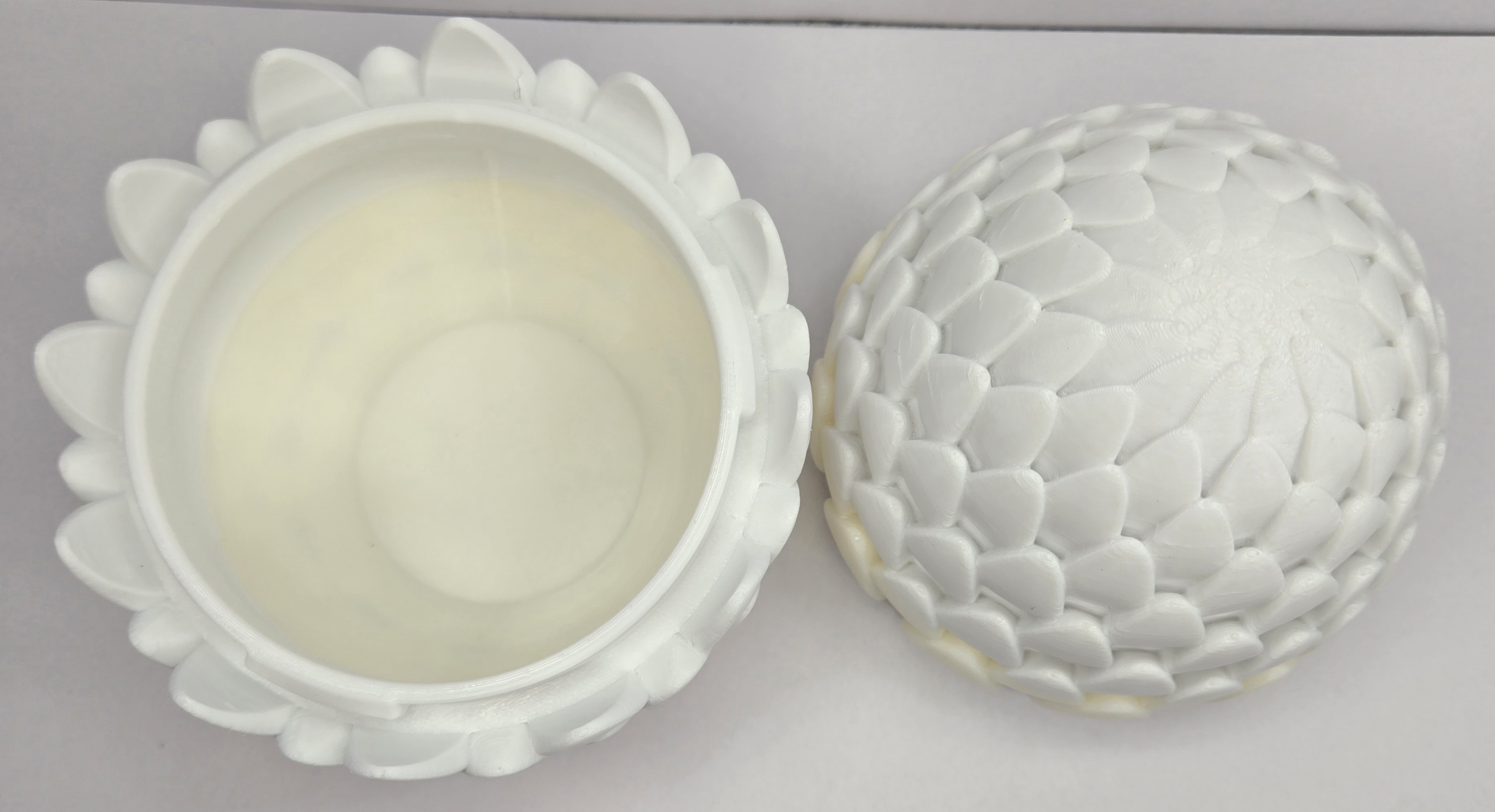 White dragon egg opened, top view showing interior